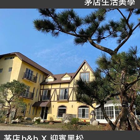 Olga B&B Beipu Dış mekan fotoğraf